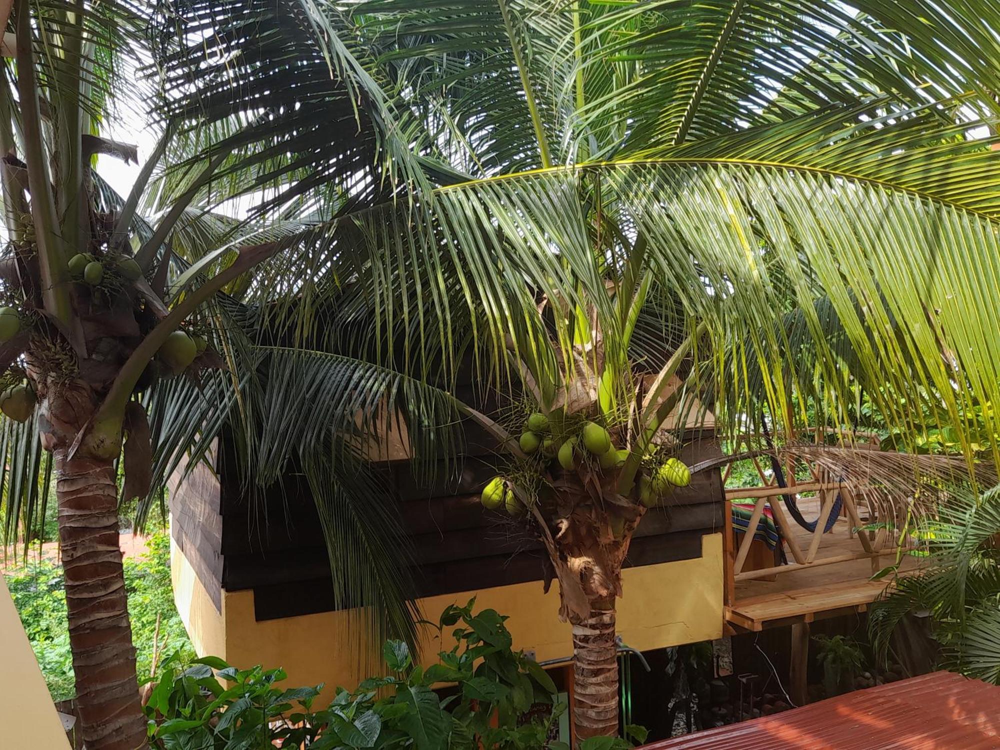Casa Gio Villa Puerto Escondido  Exteriör bild